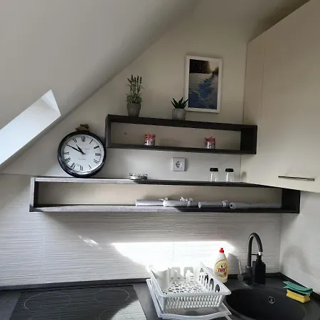 Apartament Gabi - Kraljevi Cardaci Kopaonik