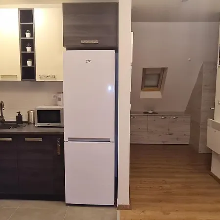 Gabi - Kraljevi Cardaci