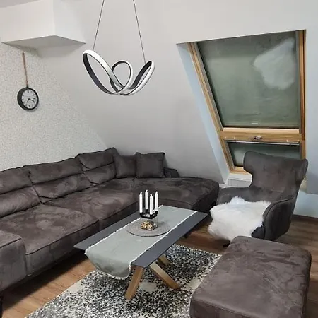 Apartament Gabi - Kraljevi Cardaci Kopaonik