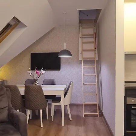 Apartament Gabi - Kraljevi Cardaci Kopaonik