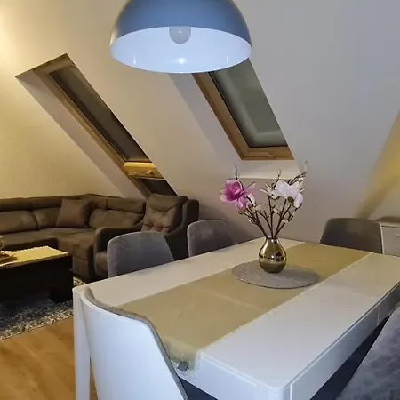 Gabi - Kraljevi Cardaci