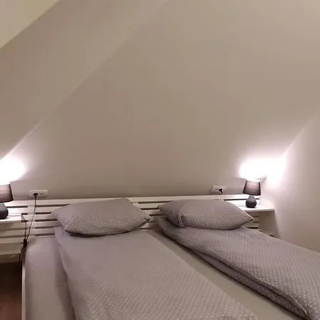 Gabi - Kraljevi Cardaci