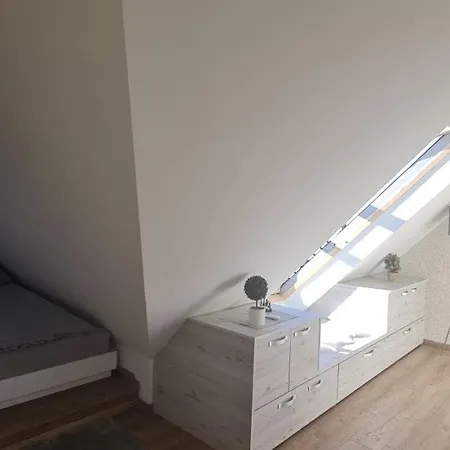 Gabi - Kraljevi Cardaci * Kopaonik