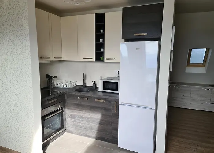 Gabi - Kraljevi Cardaci *