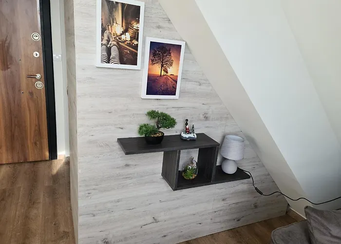 公寓 Gabi - Kraljevi Cardaci 科帕奥尼克