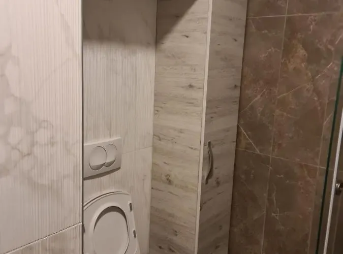 Gabi - Kraljevi Cardaci 公寓 科帕奥尼克