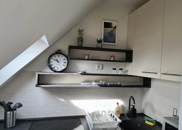 公寓 Gabi - Kraljevi Cardaci 科帕奥尼克