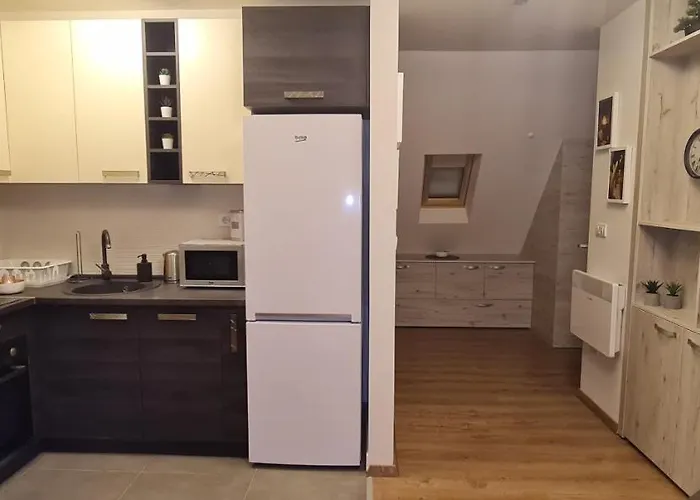 Gabi - Kraljevi Cardaci