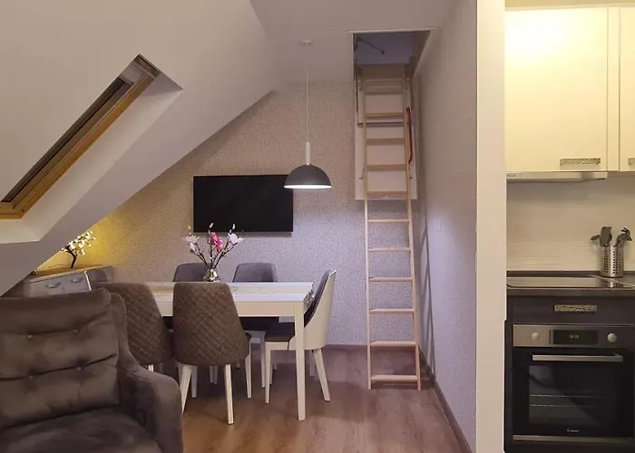 公寓 Gabi - Kraljevi Cardaci 科帕奥尼克