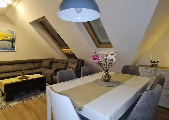 Gabi - Kraljevi Cardaci