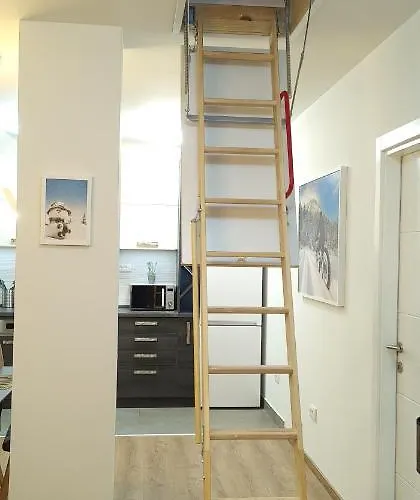 Gabi - Kraljevi Cardaci 公寓 科帕奥尼克