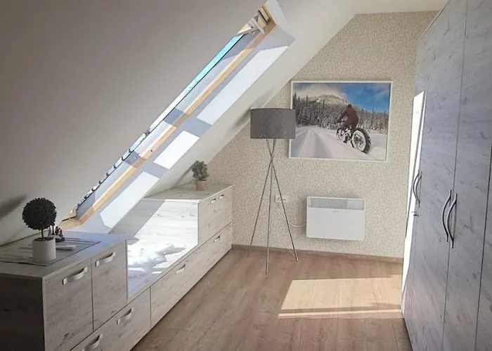 Gabi - Kraljevi Cardaci * 科帕奥尼克