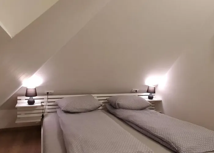 Gabi - Kraljevi Cardaci