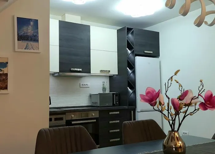 公寓 Gabi - Kraljevi Cardaci 科帕奥尼克