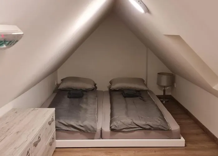 Gabi - Kraljevi Cardaci 公寓 科帕奥尼克