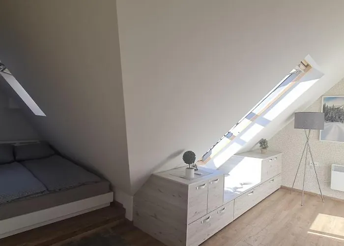 Gabi - Kraljevi Cardaci * 科帕奥尼克