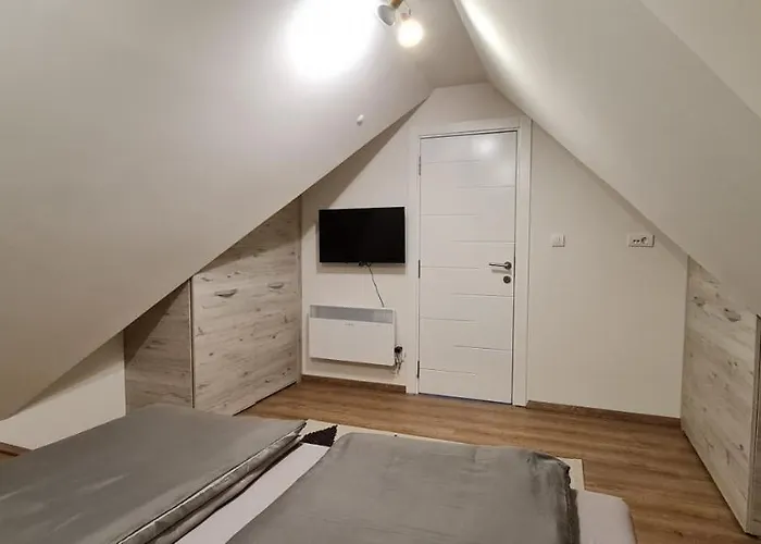 公寓 Gabi - Kraljevi Cardaci 科帕奥尼克