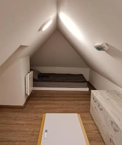 Gabi - Kraljevi Cardaci *